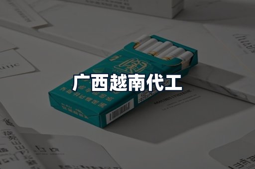 广西越南代工